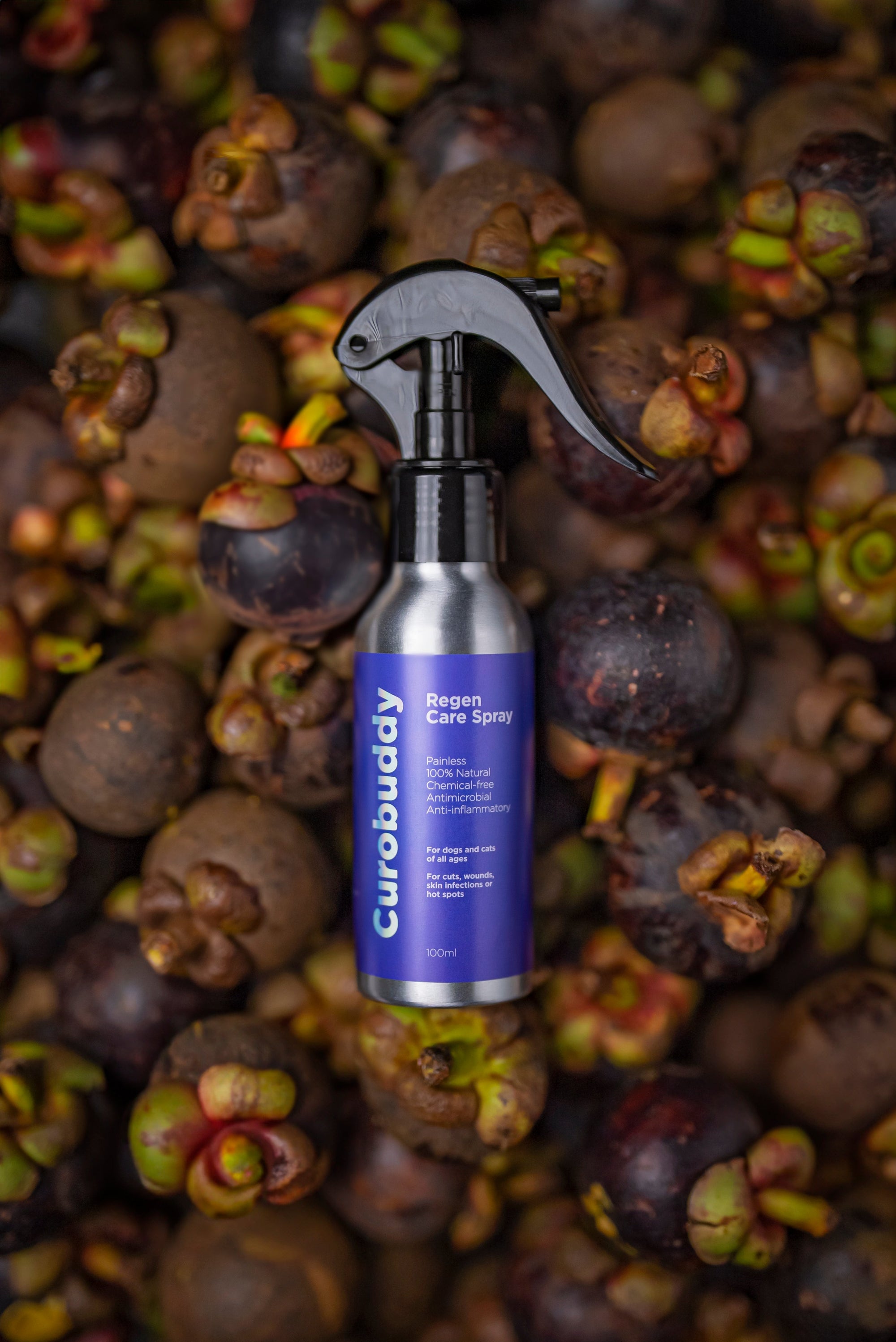 Why Mangosteen Skin Extract?