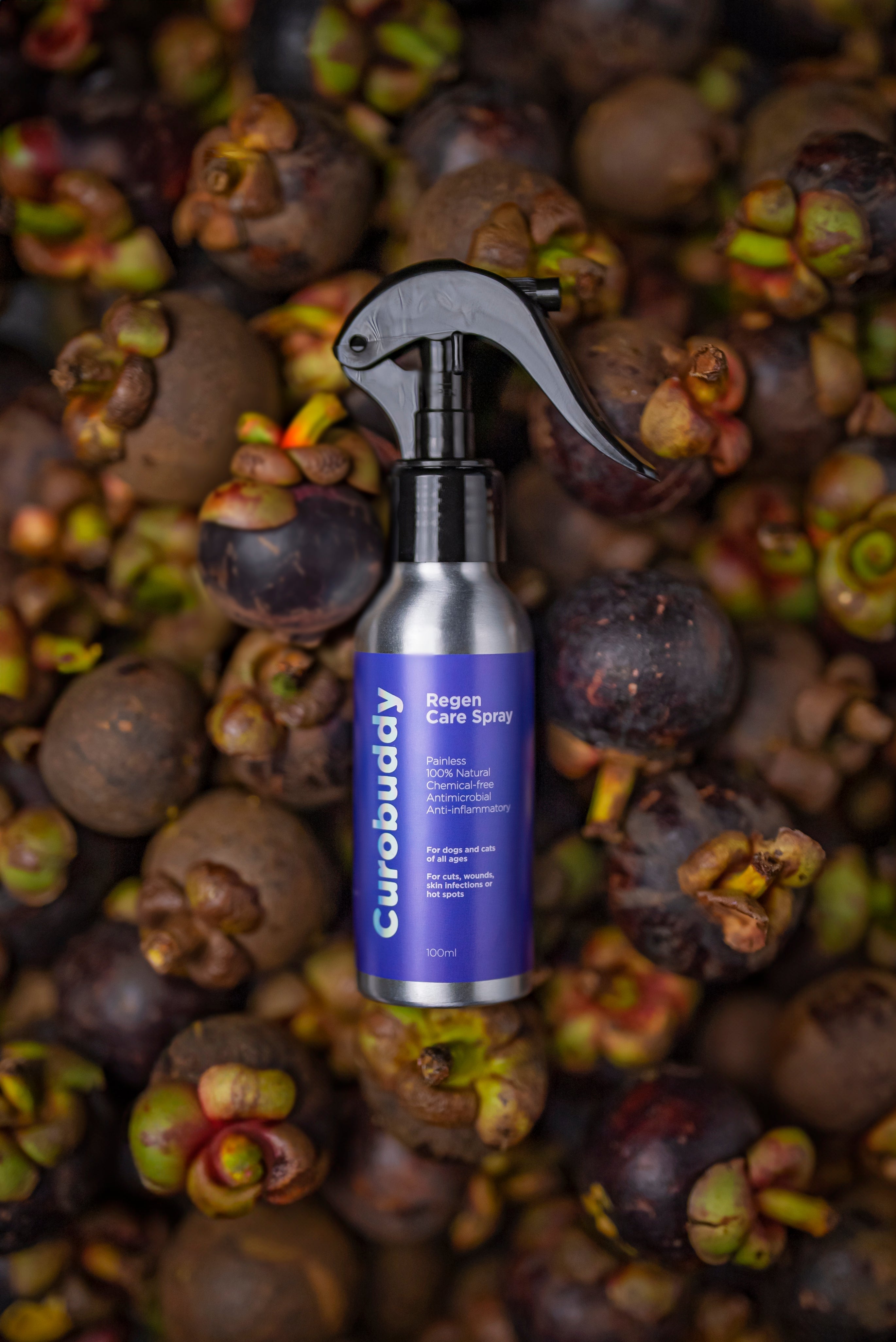 Why Mangosteen Skin Extract?