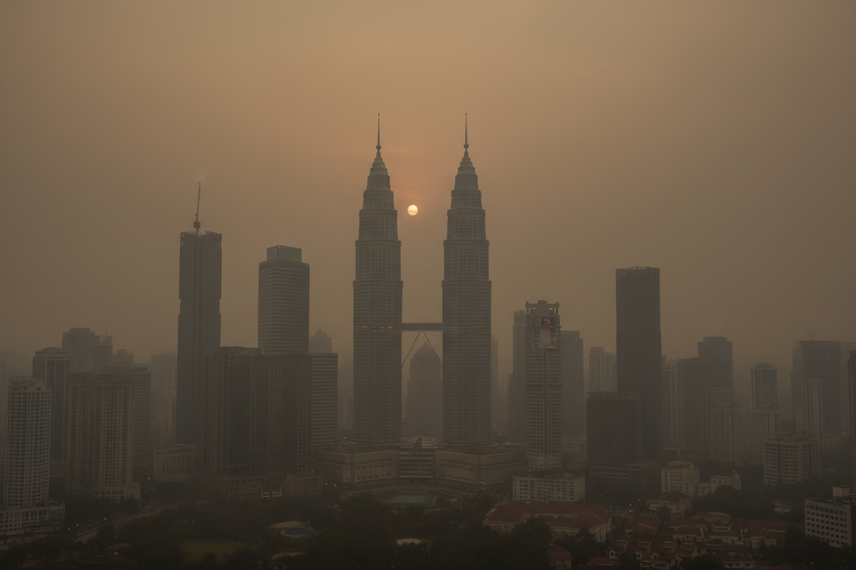 Haze Season and Sensitive Skin: What Air Quality Does to Dogs Who Already Itch