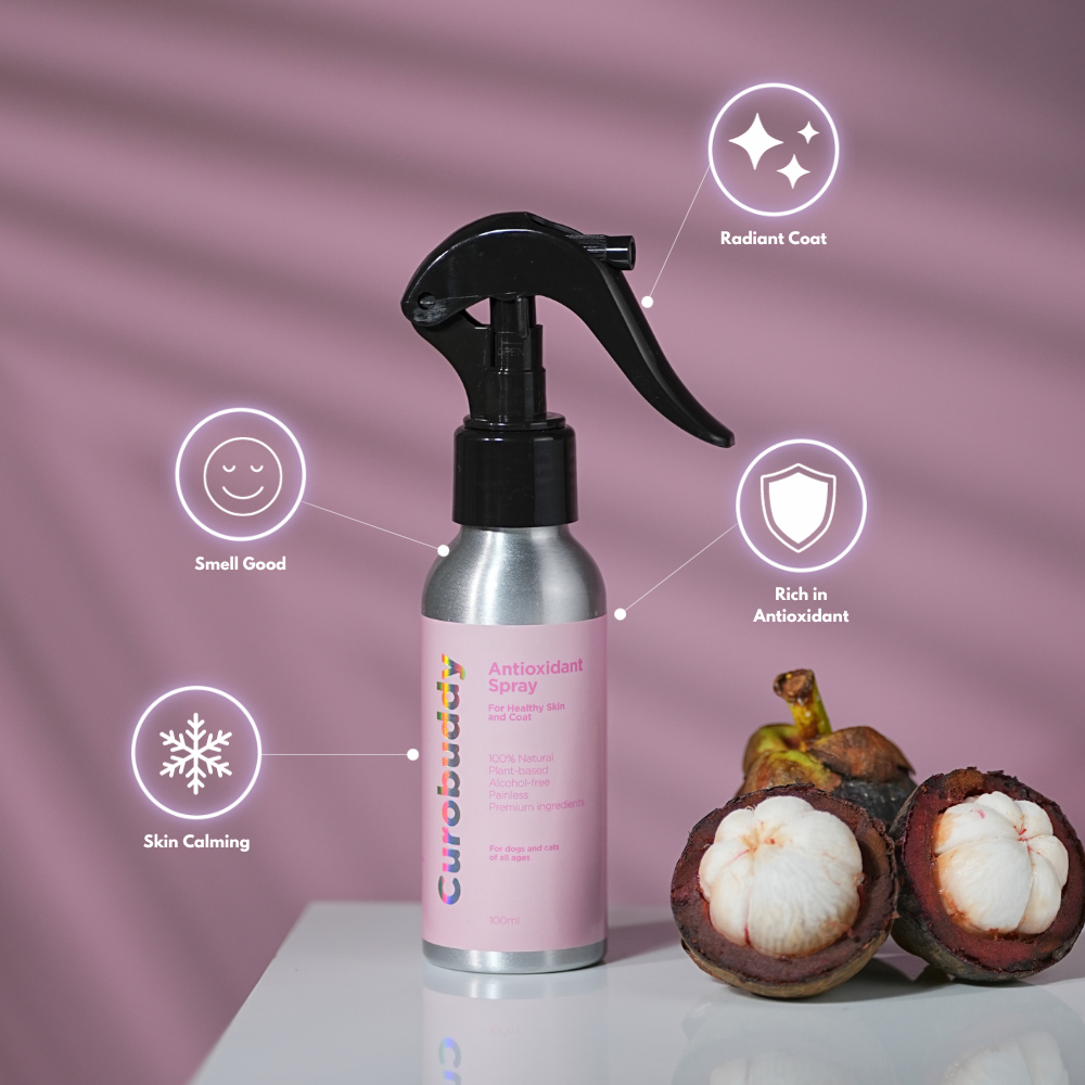 Antioxidant Spray (100ml)