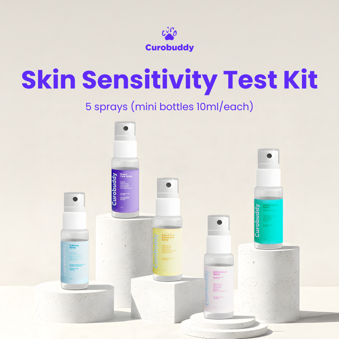 5-in-1 Skin Sensitivity Test Kit (5 × 10ml)