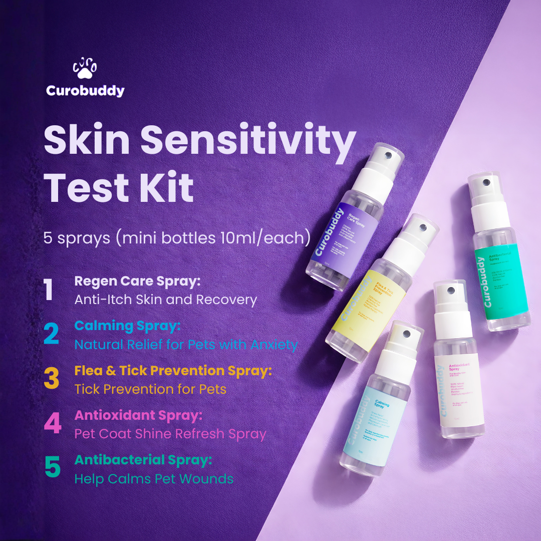 5-in-1 Skin Sensitivity Test Kit (5 × 10ml)