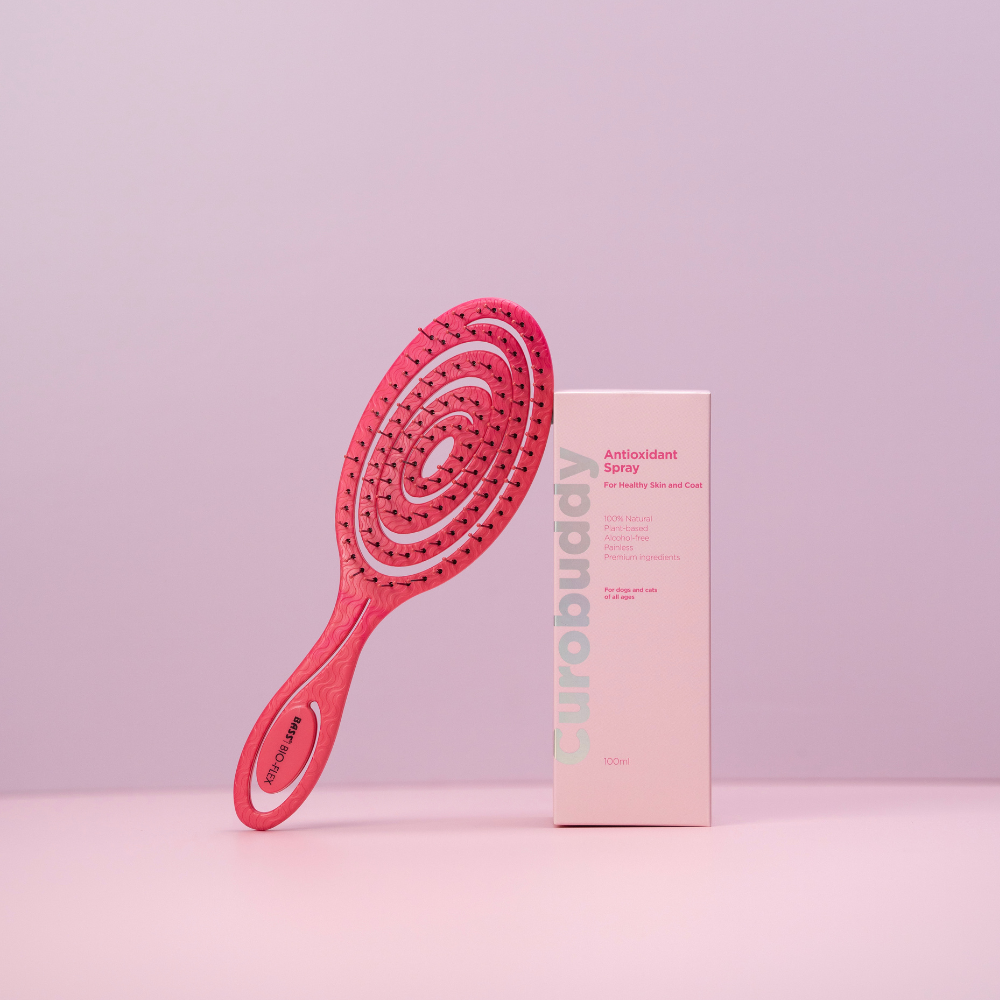 Antioxidant Grooming Kit