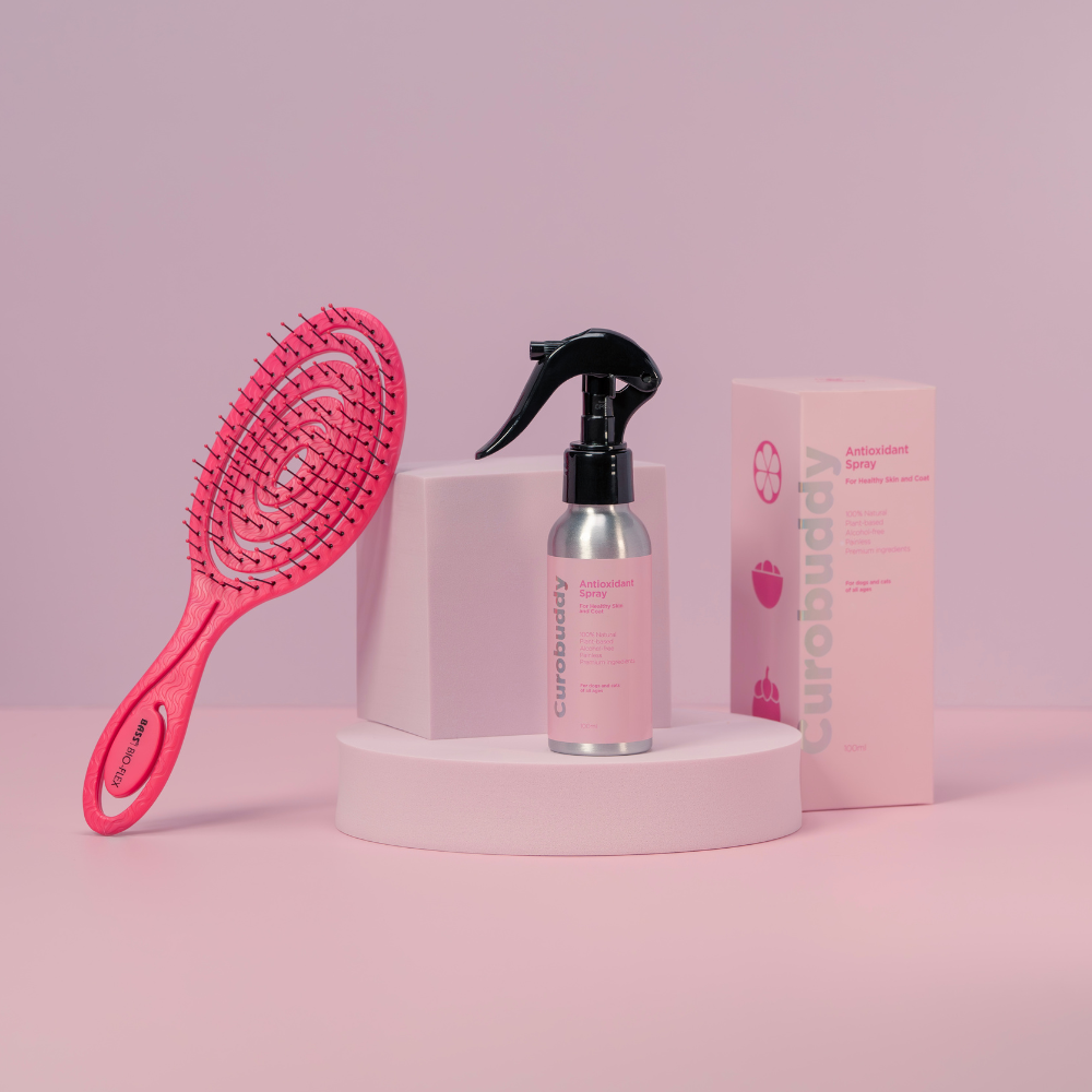 Antioxidant Grooming Kit