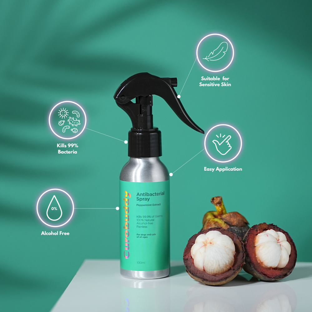 Antibacterial Spray (100ml)