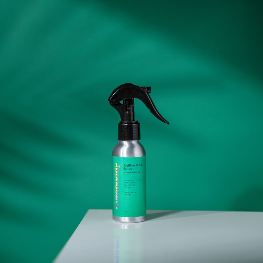 Antibacterial Spray (100ml)